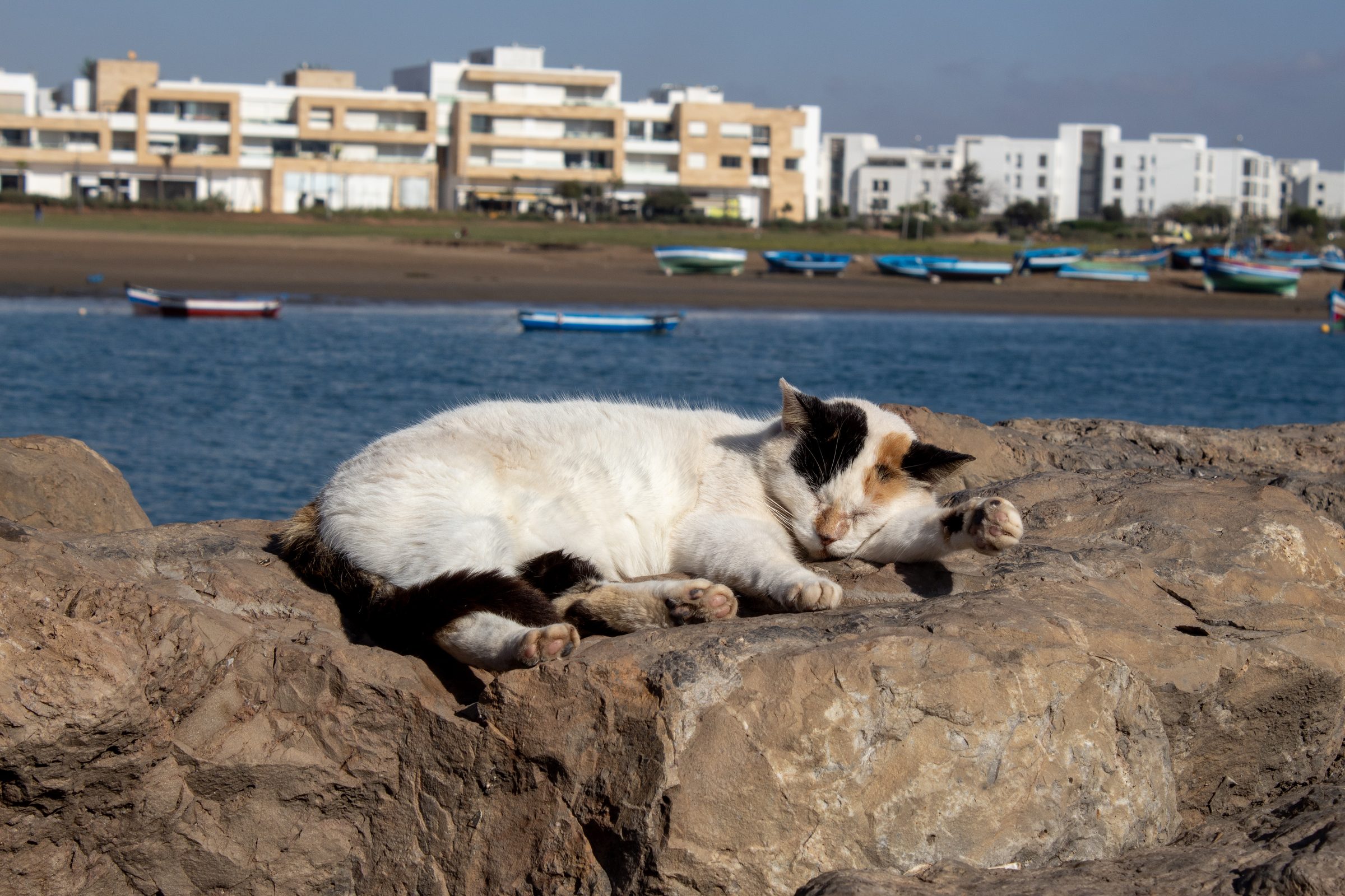 Morocco