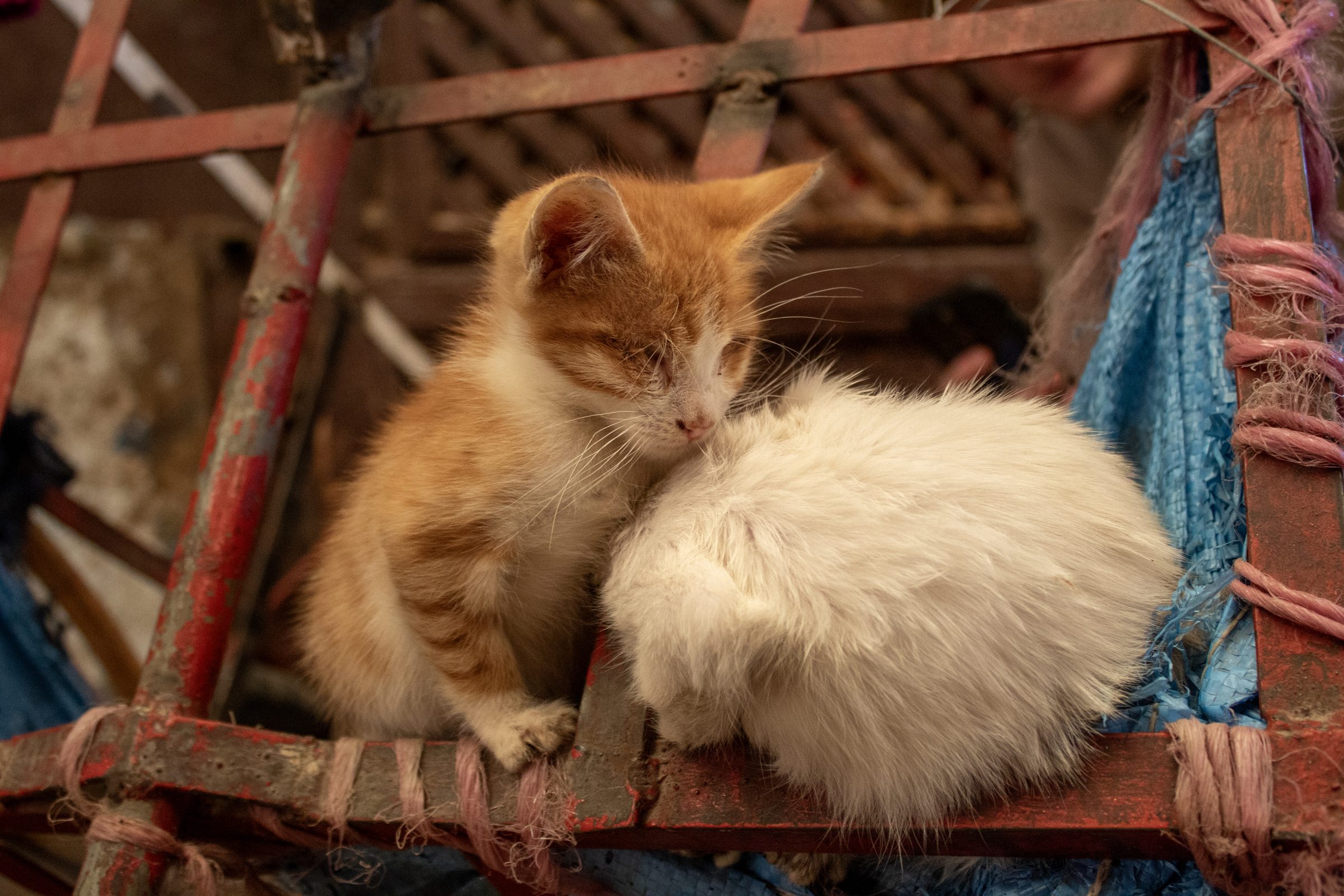 Morocco